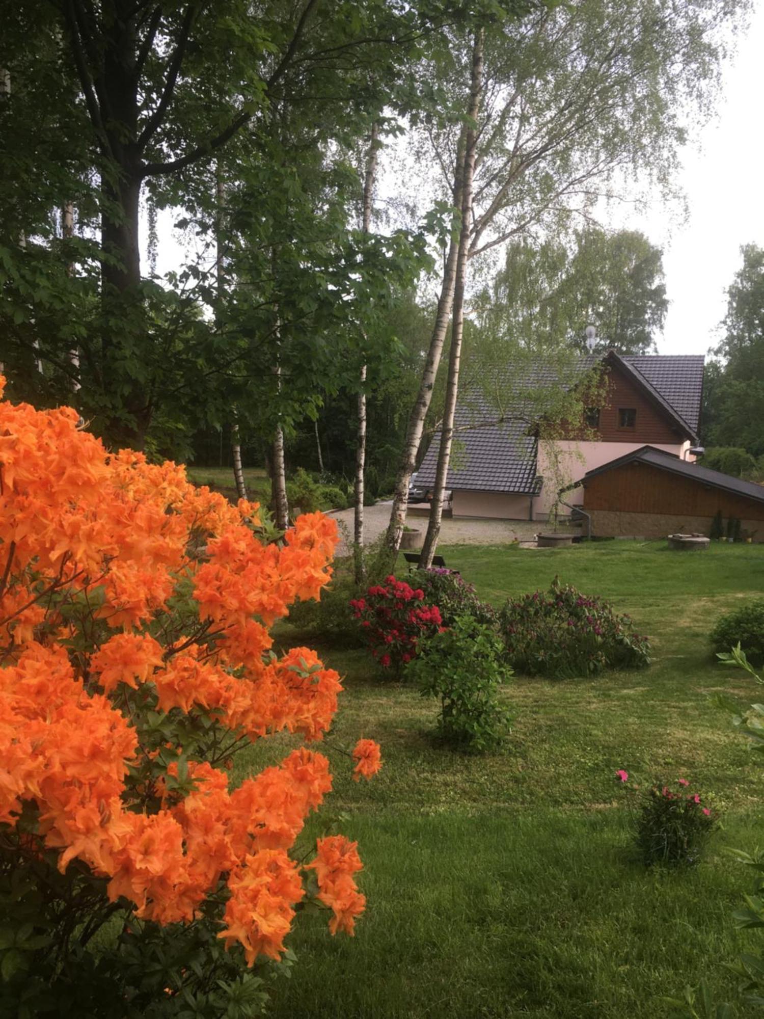 Chalupa Zlate Pisky Nove Krecany Exterior photo