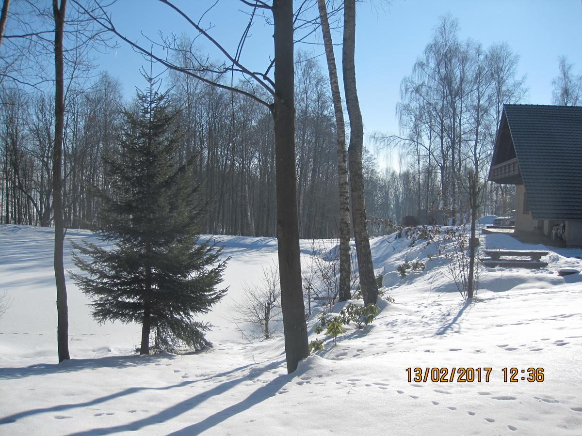 Chalupa Zlate Pisky Nove Krecany Exterior photo